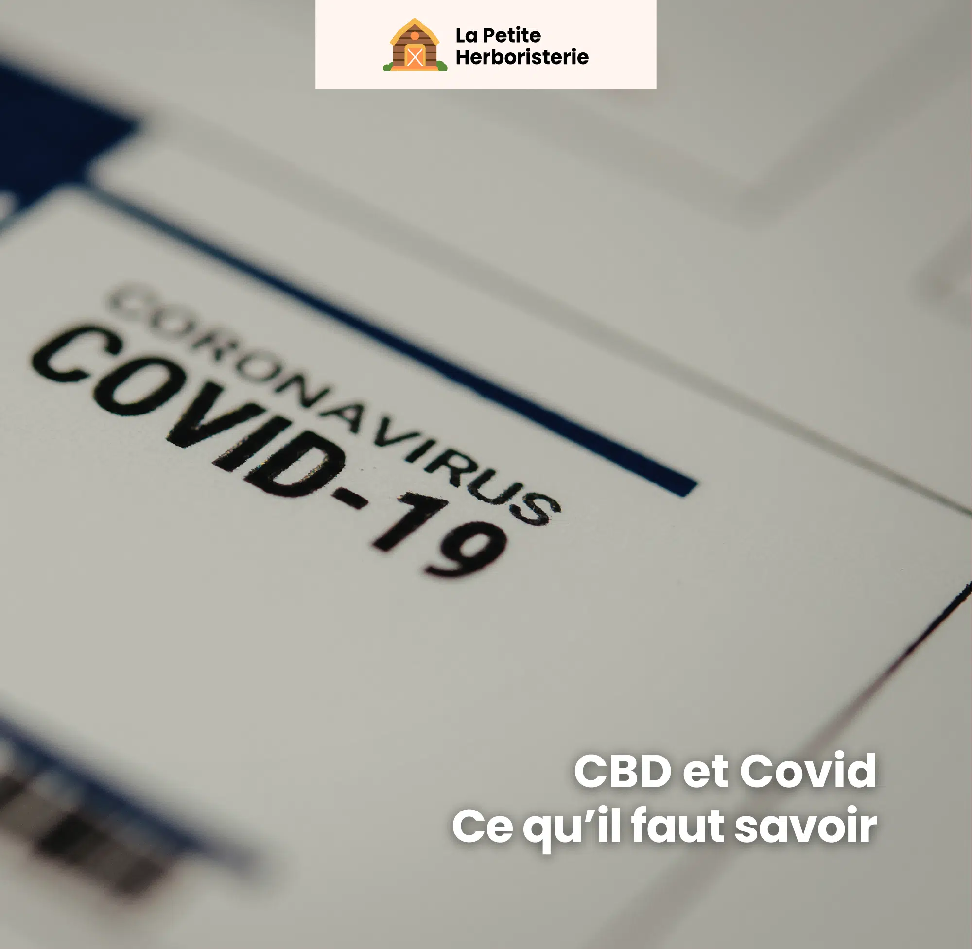 CBD et covid, ce qu'il faut savoir