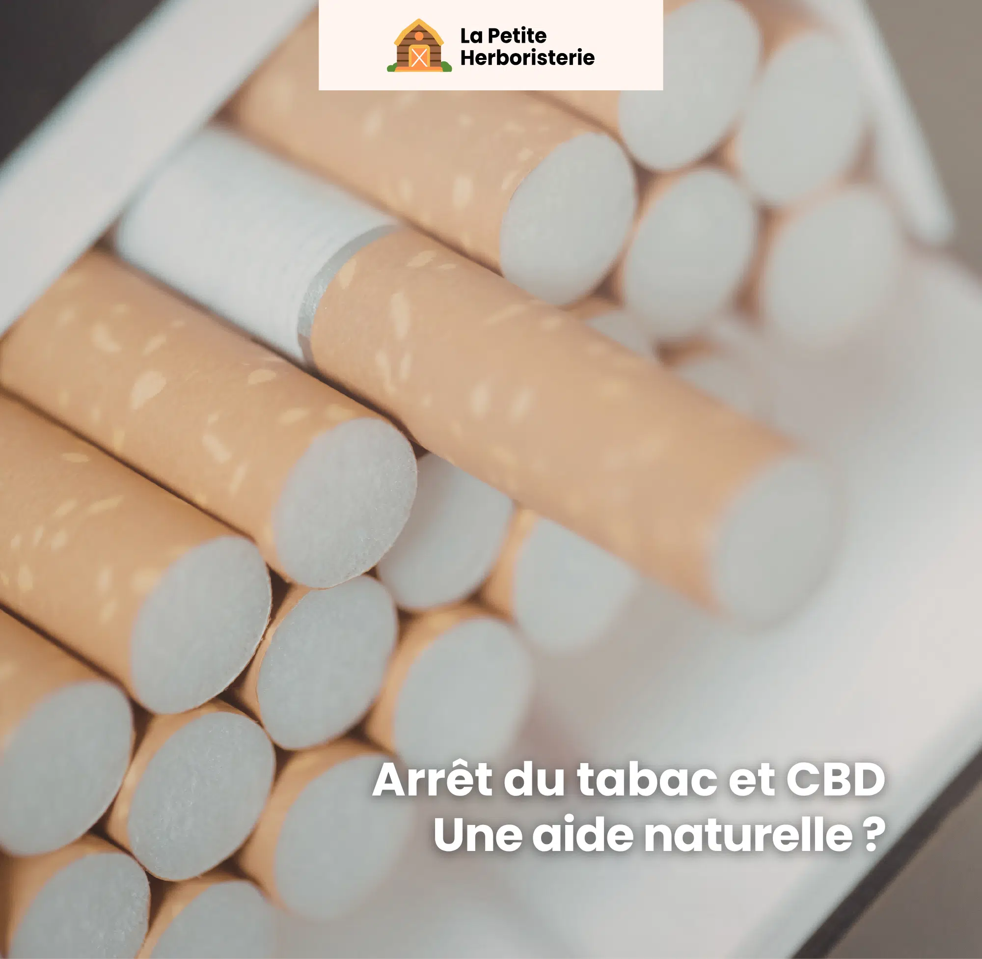 Arrêt du tabac et cbd une aide pour le sevrage