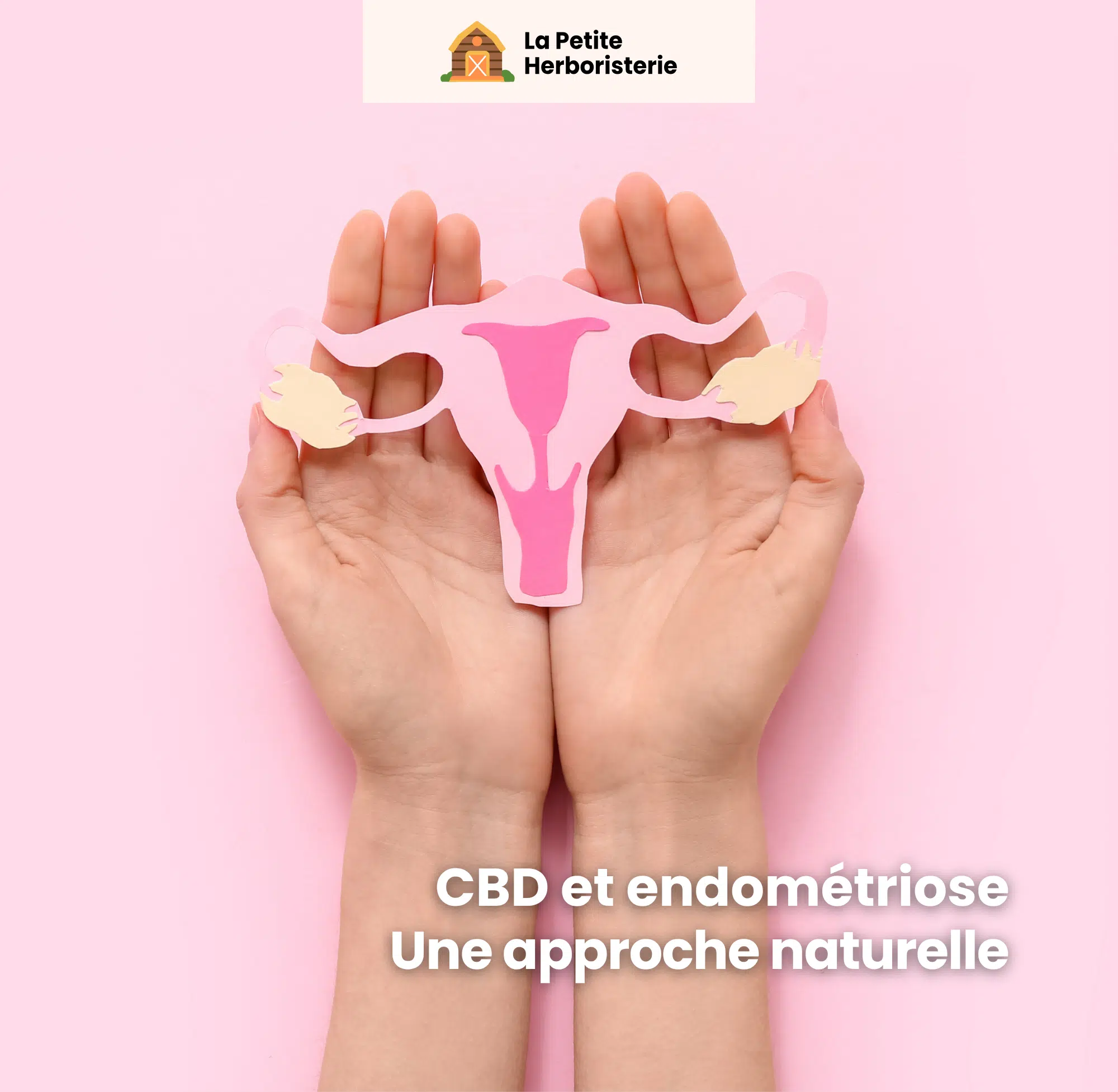 CBD et endométriose une aide naturelle