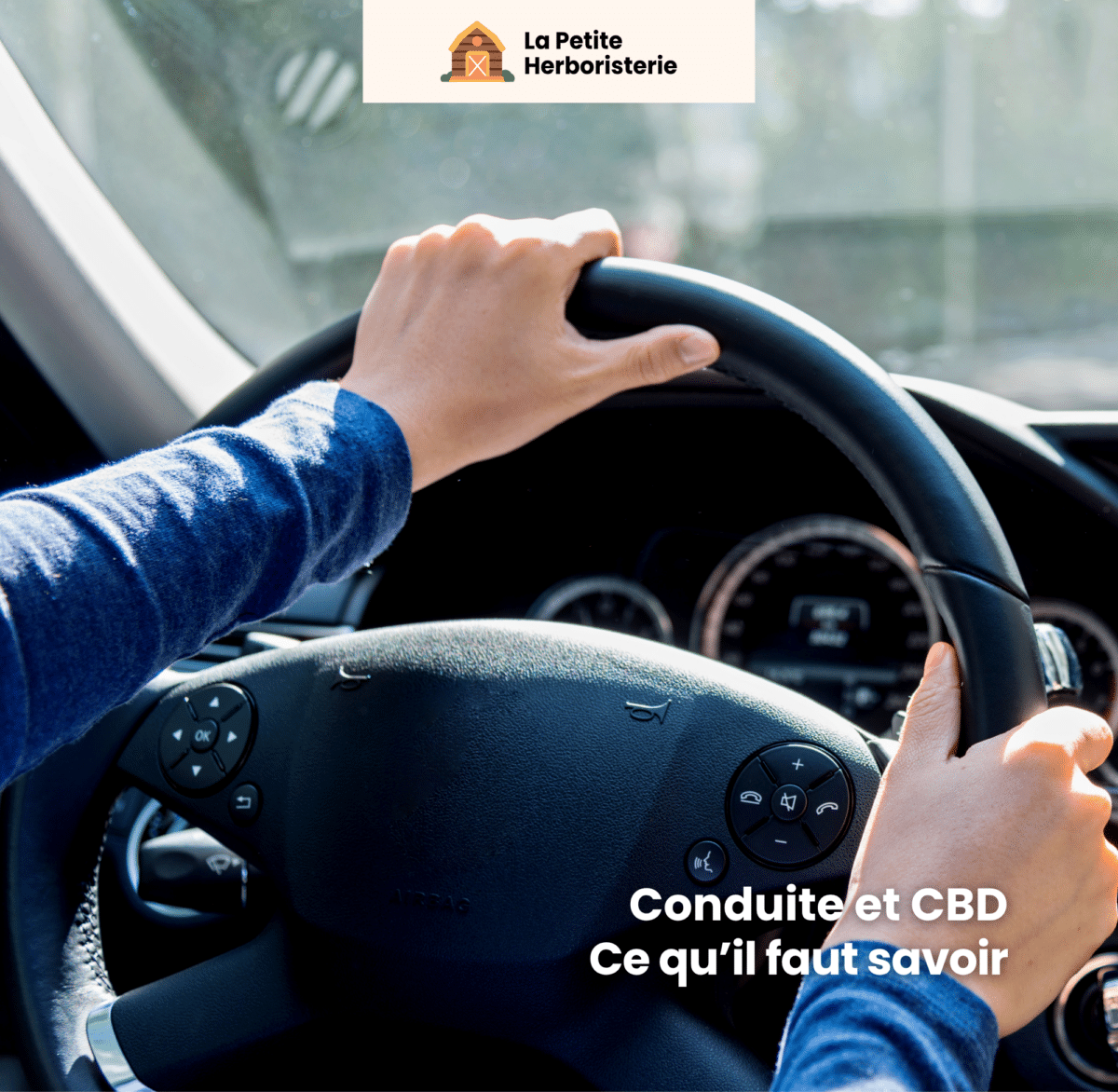 CBD au volant ce qu'il faut savoir avant de mourrir