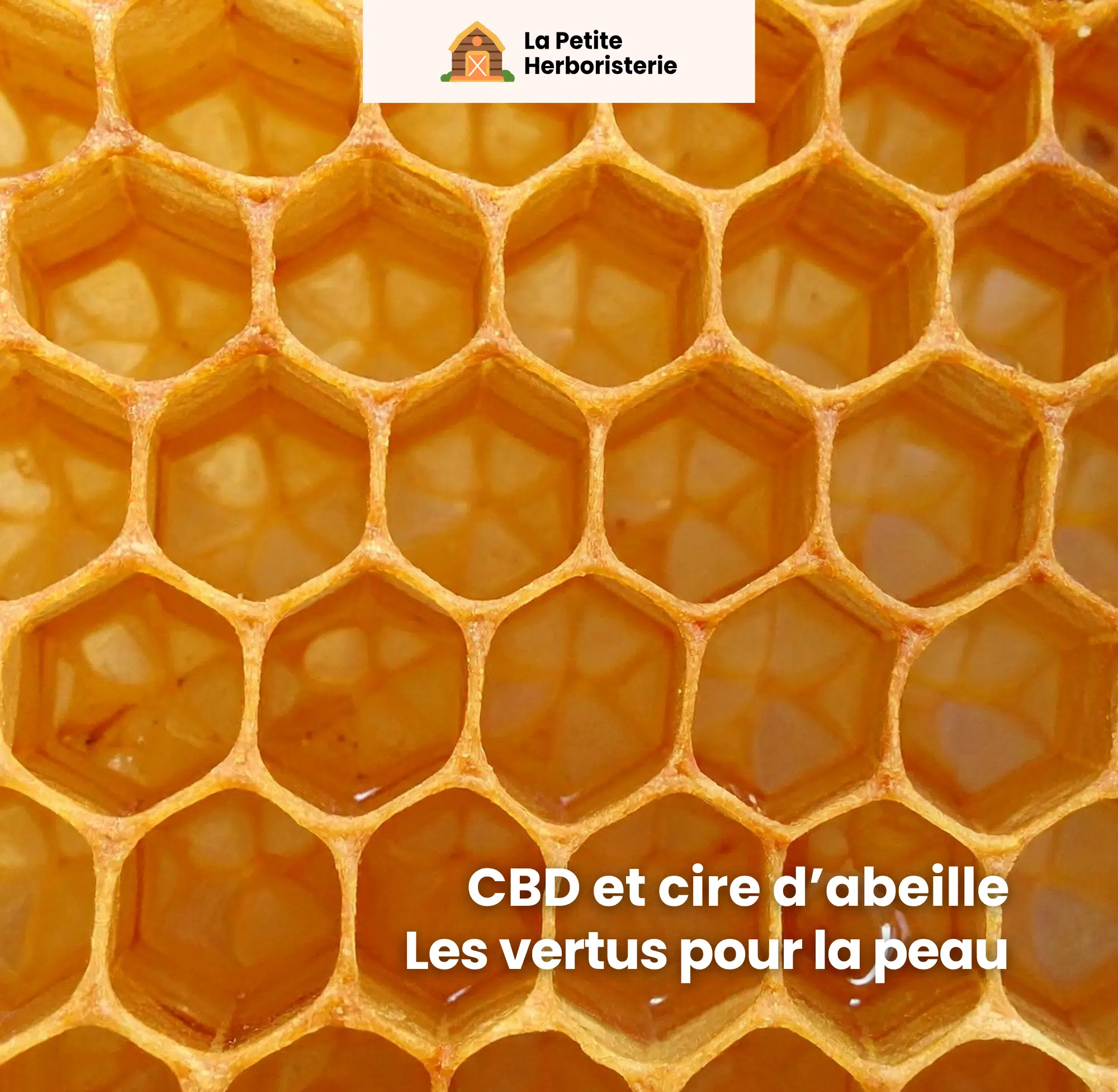 CBD et cire d'abeille les vertus pour la peau