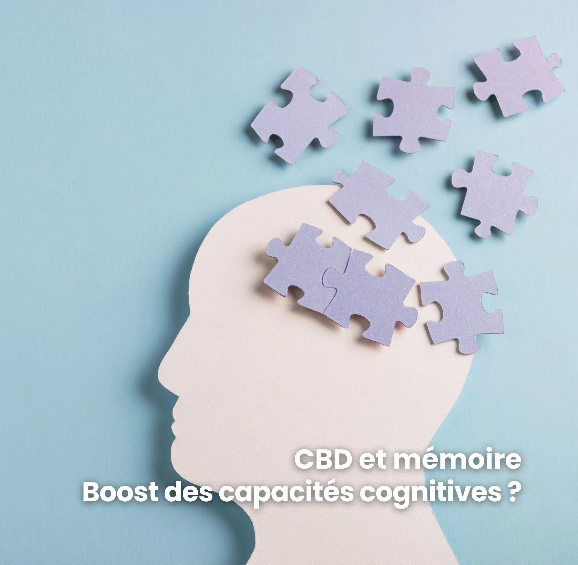 CBD et mémoire un boost des capacités cognitives