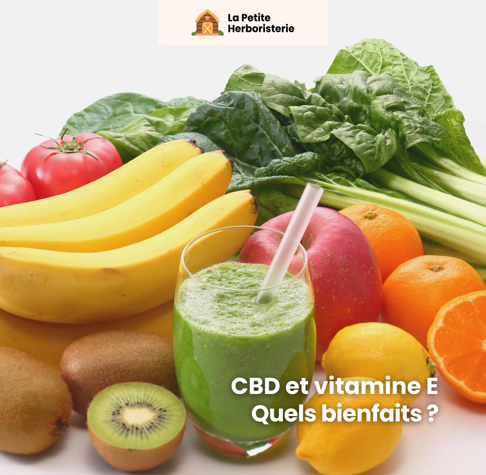 Vitamine E et CBD quels sont les bienfaits de cette alliance
