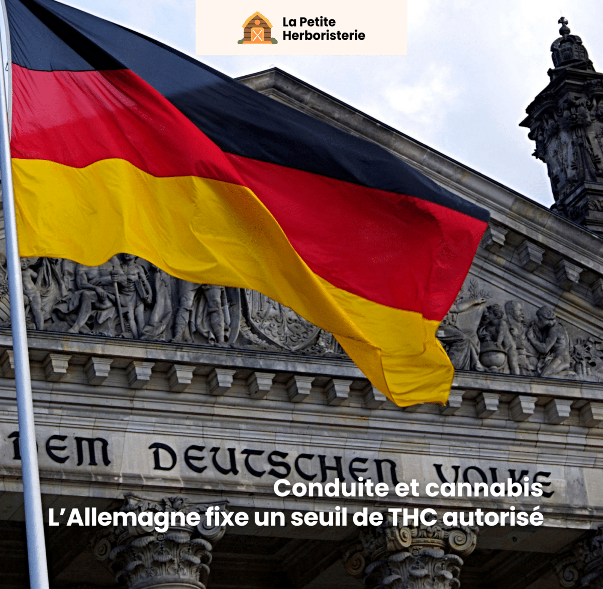 Conduite sous cannabis en allemagne : seuil de thc