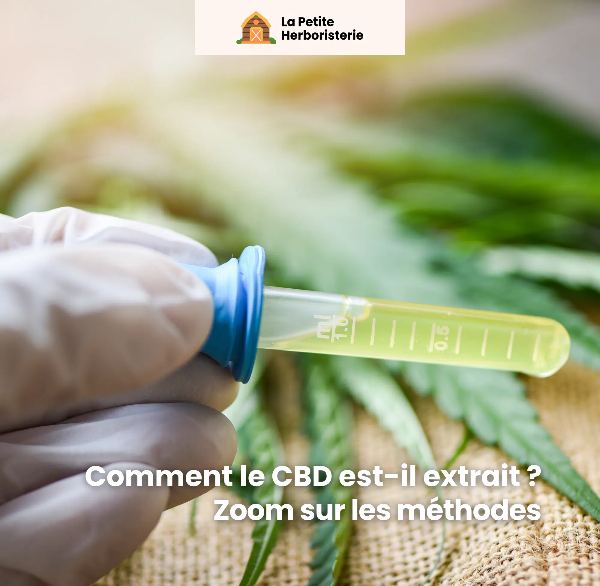 Comment le CBD est-il extrait quelles sont les méthodes