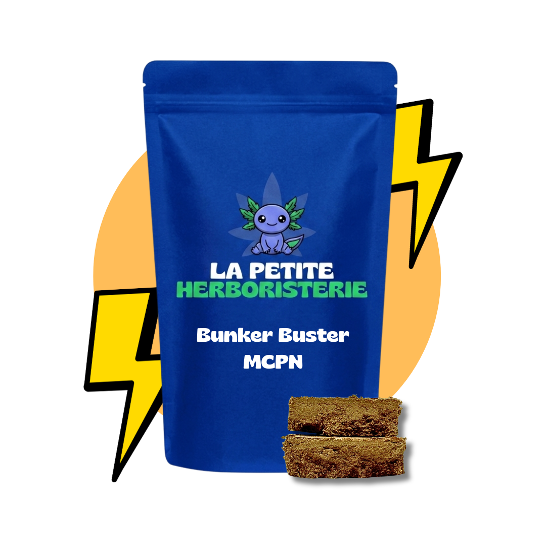 bunker buster résine MCNP