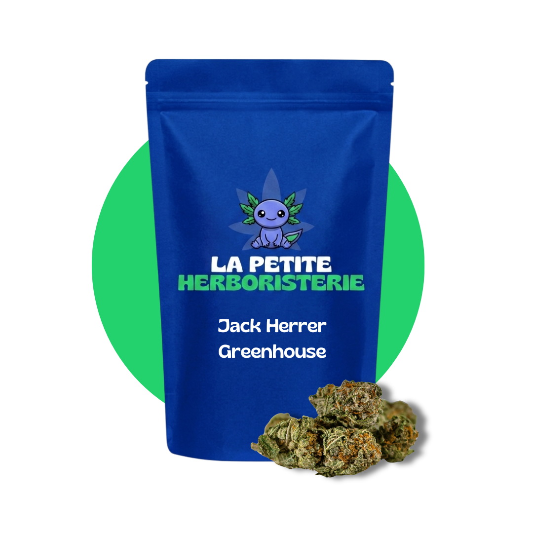 Jack Herrer Greenhouse CBD 11%