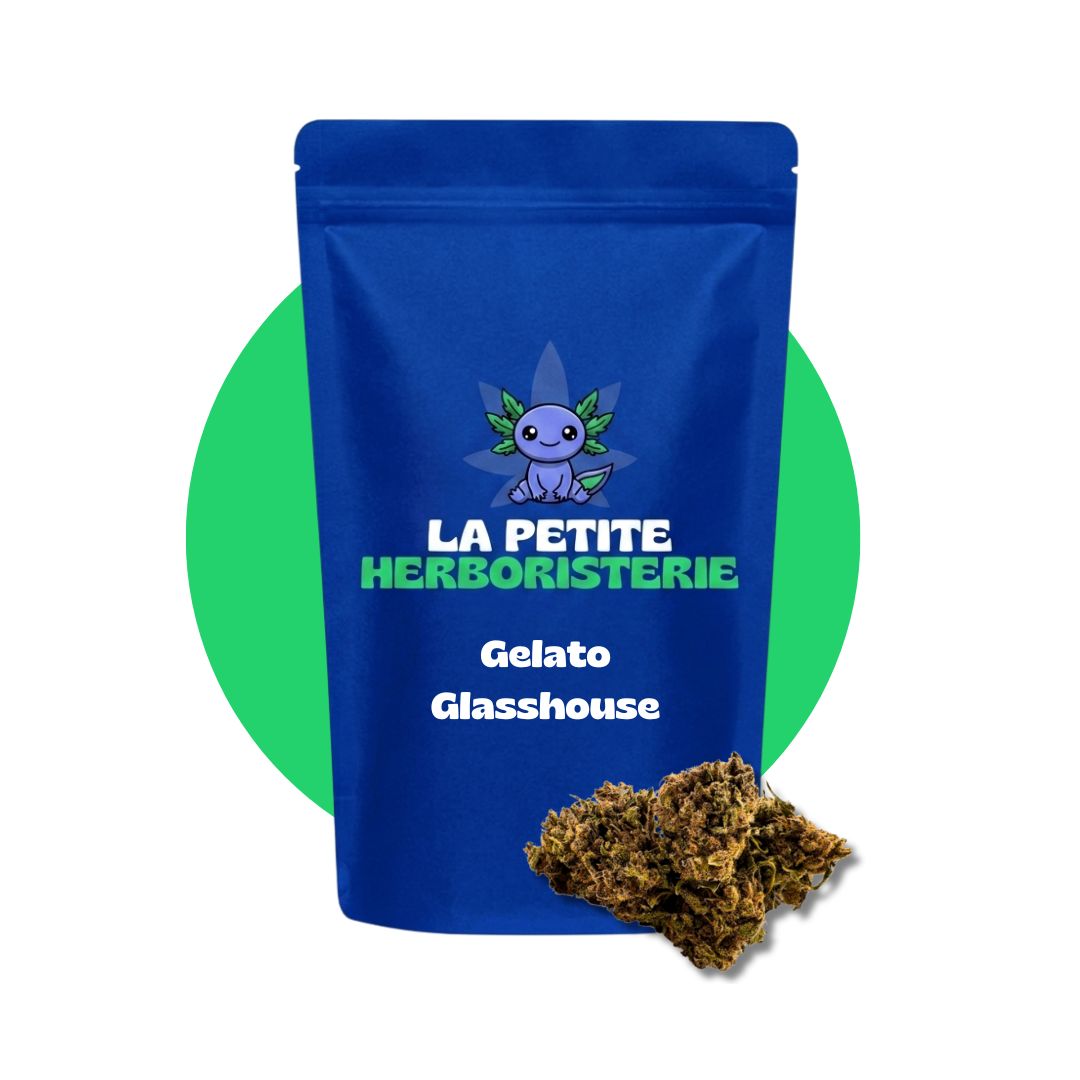 Gelato Glasshouse CBD 11%