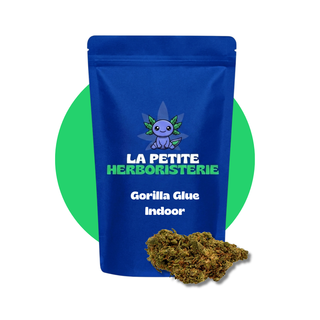 Gorilla Glue Indoor CBD 20%