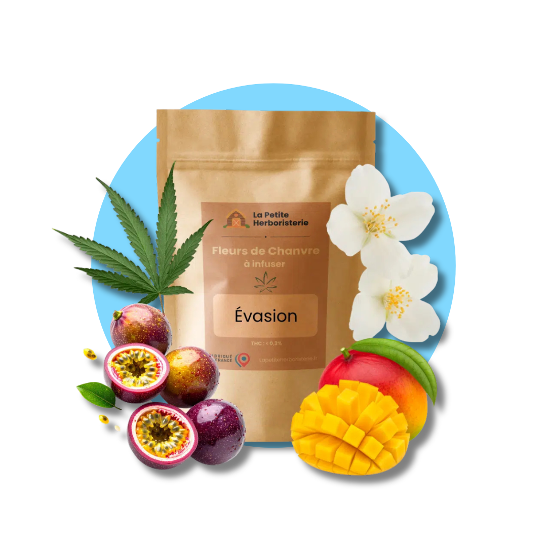 Infusion CBD tisane CBD AlcoveZen fruits exotique