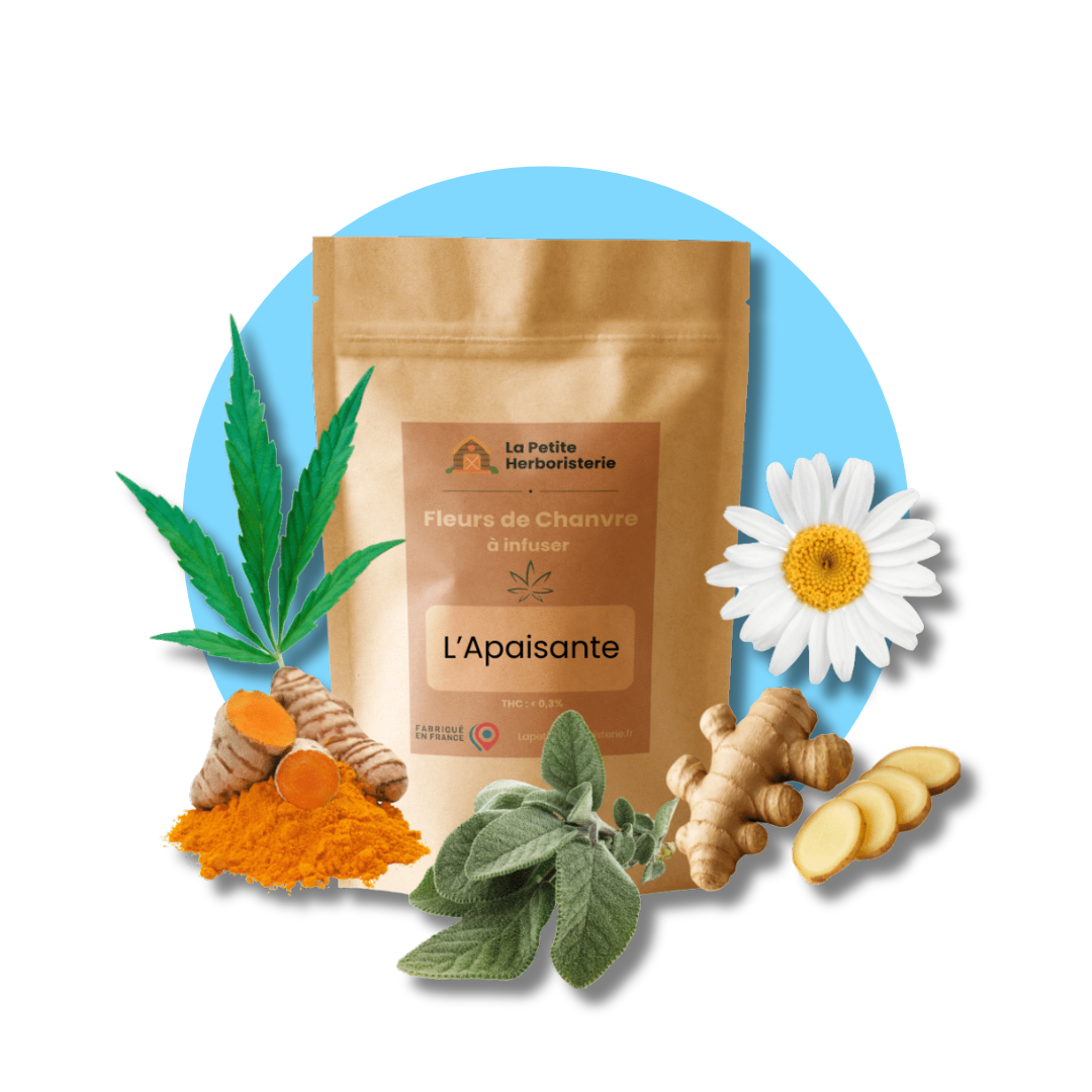 Infusion de chanvre et plantes diurétiques pour hydrater et soulager la cystite