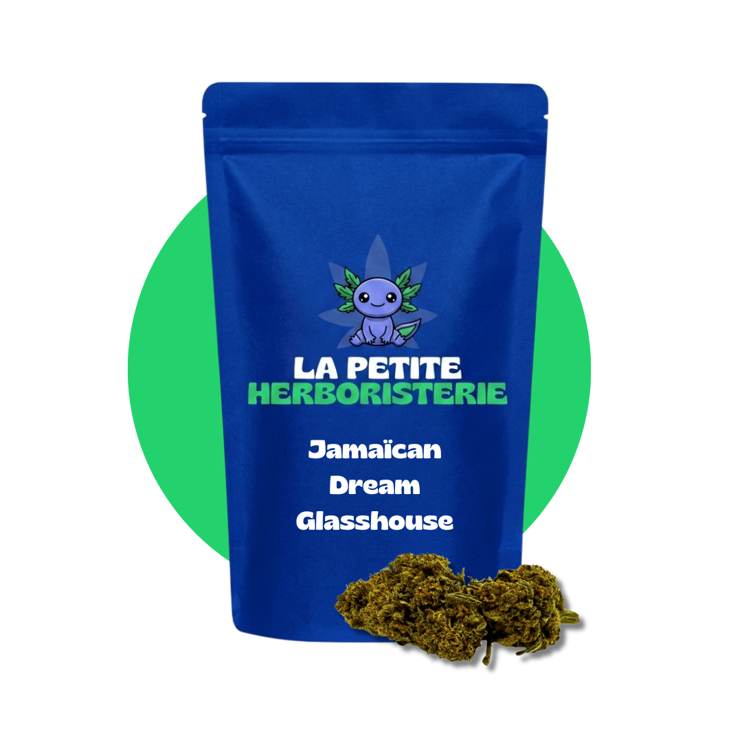 Jamaïcan Dream Glasshouse CBD 11%