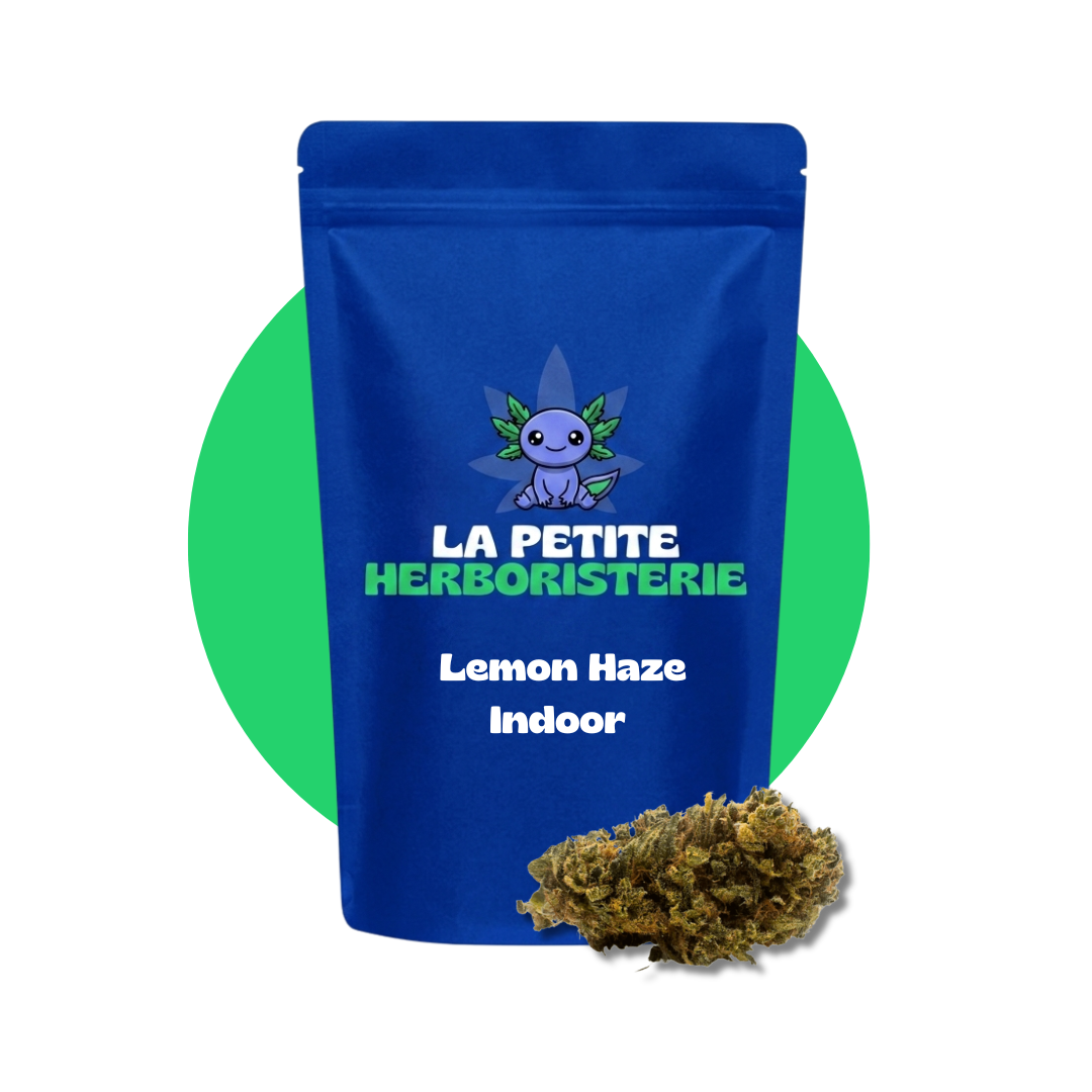 Lemon Haze Indoor CBD 20%