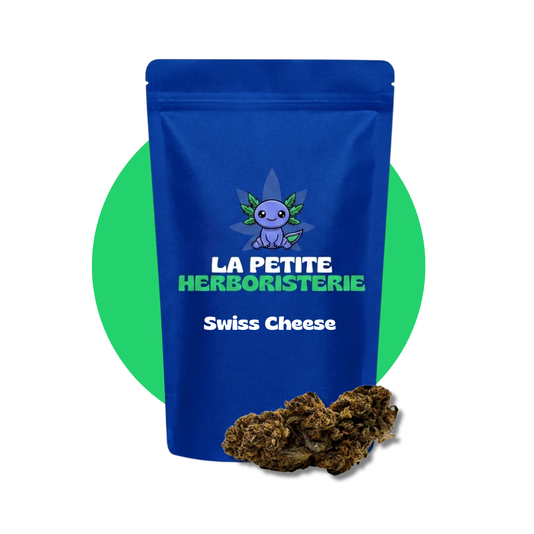 Swiss Cheese CBD