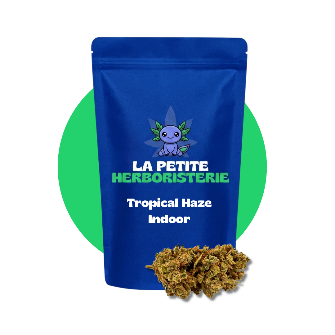 Tropical Haze Indoor CBD 20%