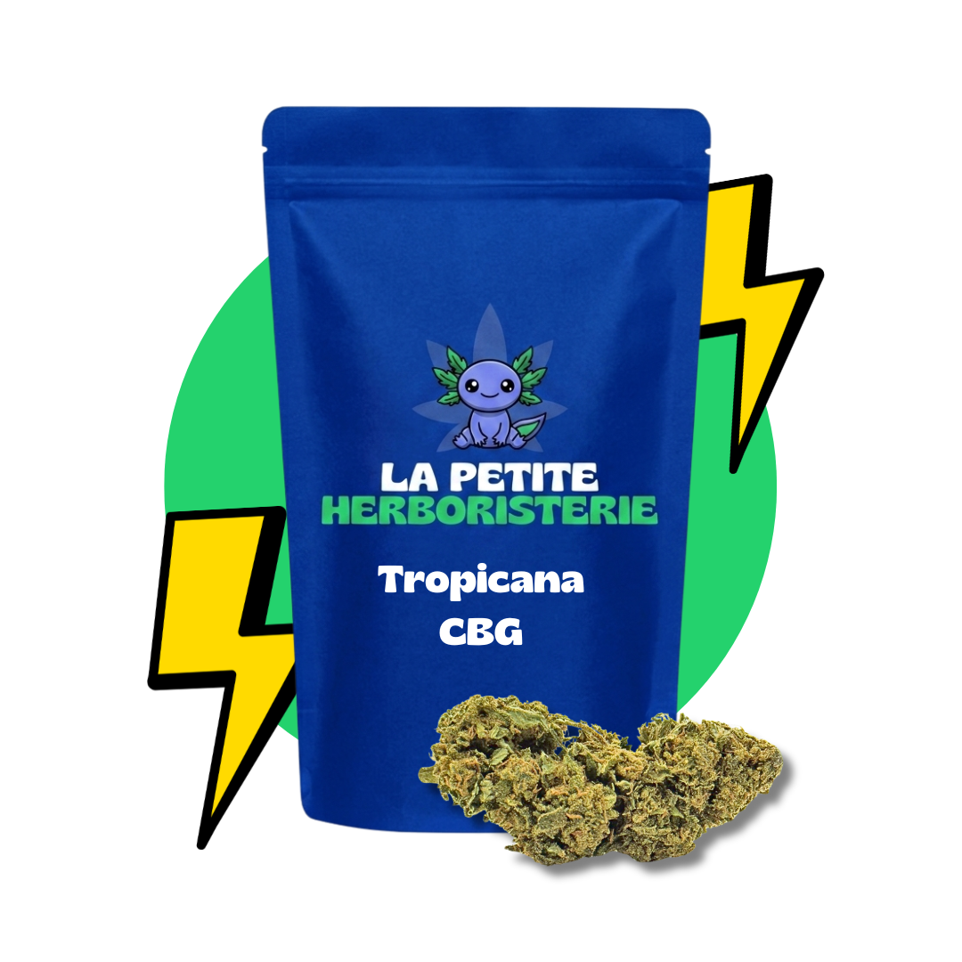 Tropicana CBG 22%