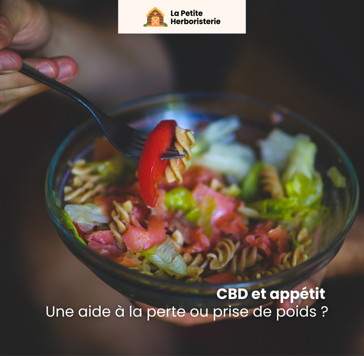 CBD appétit, CBD coupe faim, CBD perte poids, CBD prise de poids