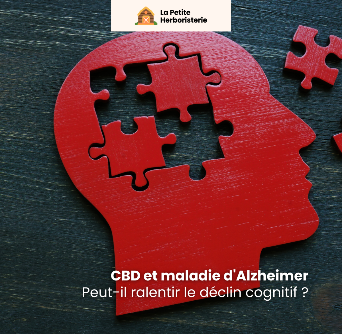 CBD Alzheimer, CBD démence, CBD mémoire seniors, CBD neurodégénératif