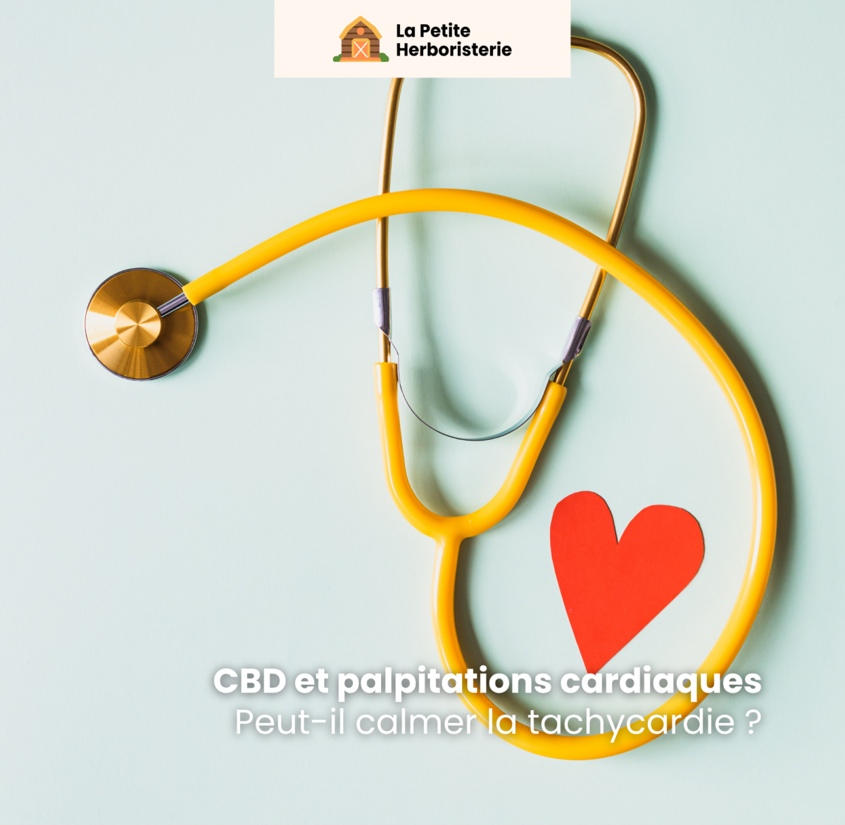 CBD palpitations, CBD tachycardie, CBD cœur rythme, CBD arythmie