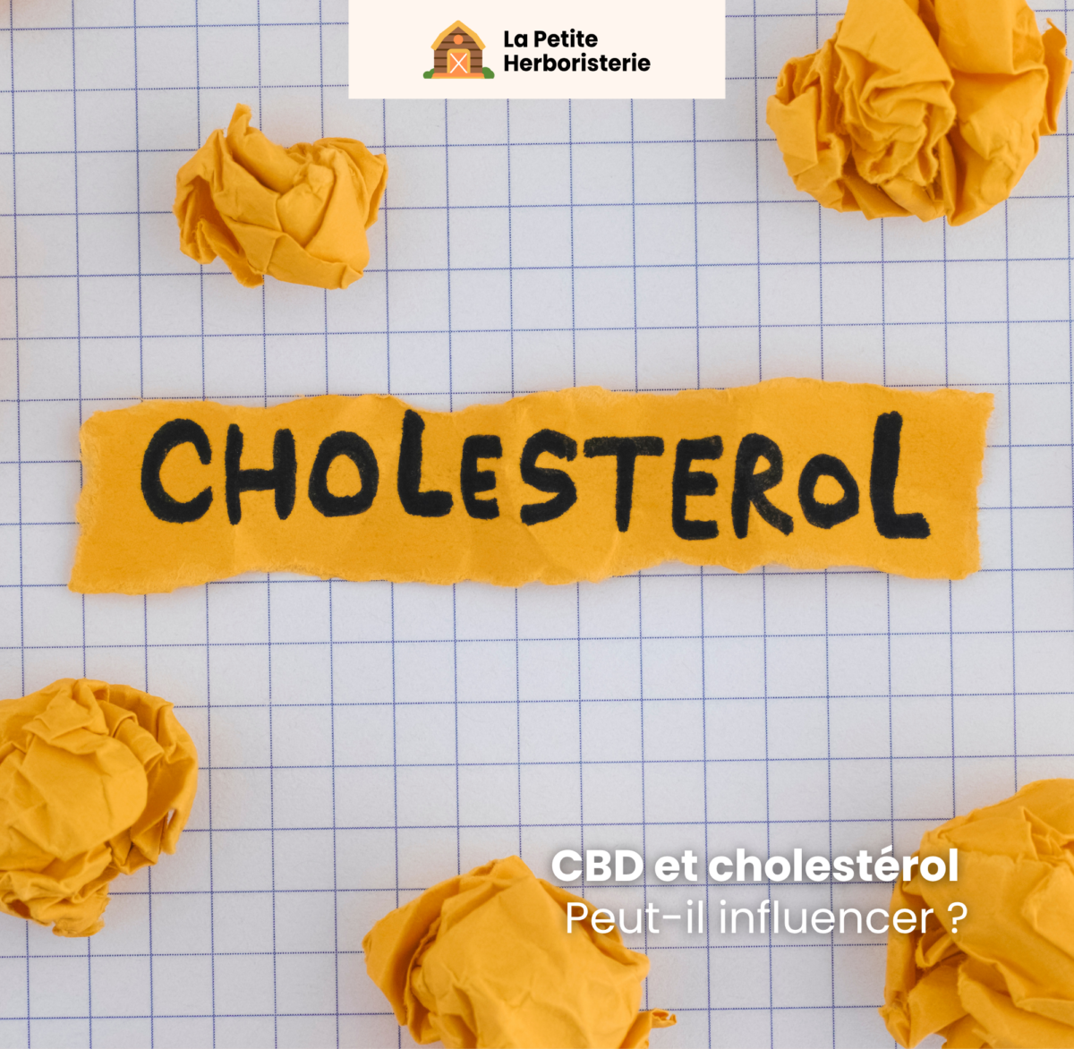 CBD cholestérol, CBD triglycérides, CBD lipides, CBD équilibre cholestérol