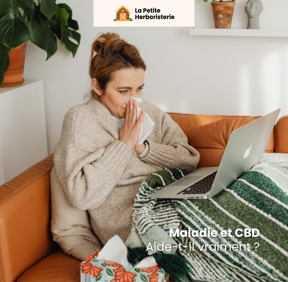 CBD maladie, CBD quand malade, CBD immunité, CBD guérison rapide
