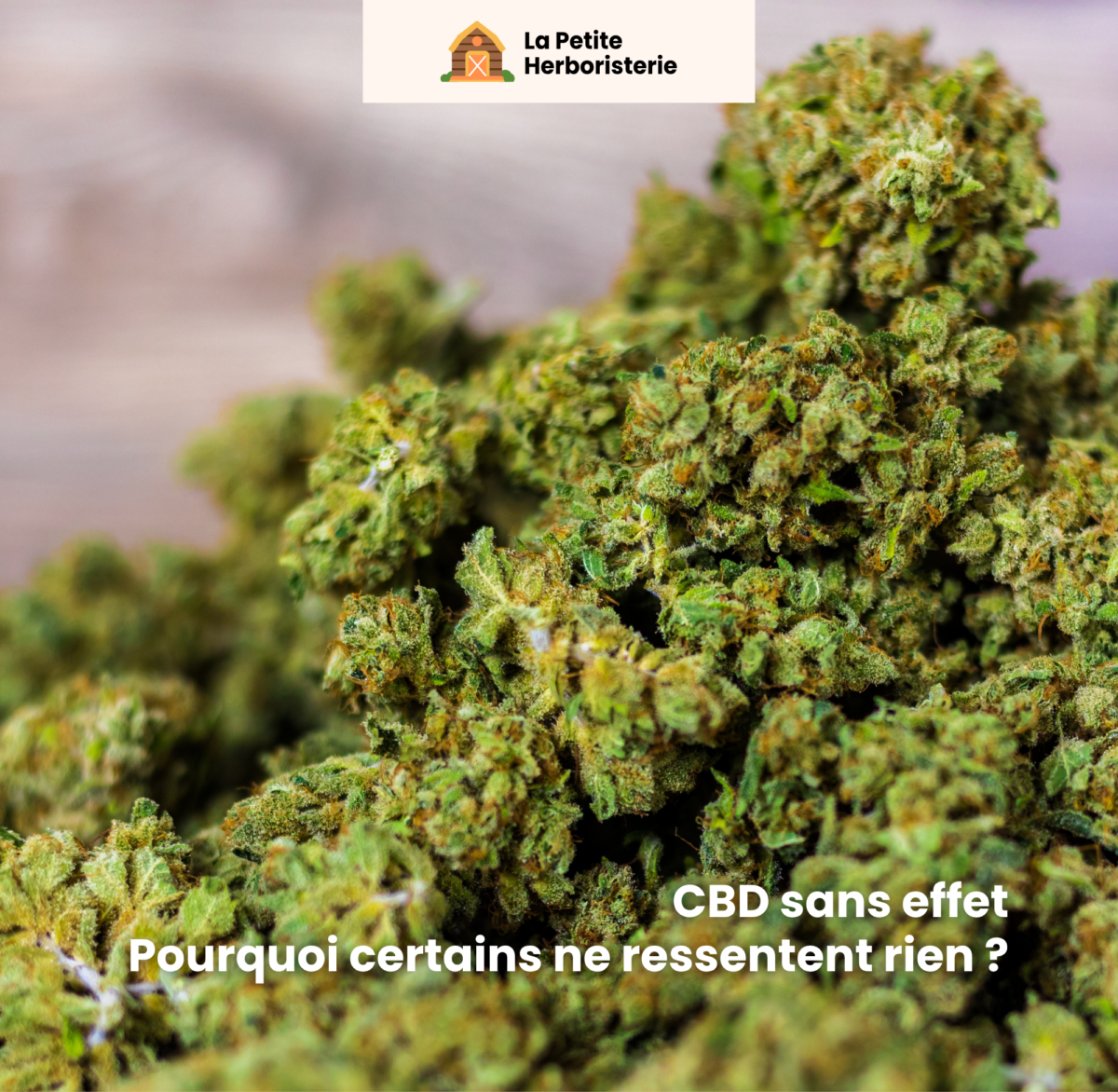 pourquoi certaines personnes ne ressentent rien avec le cbd et comment y remédier