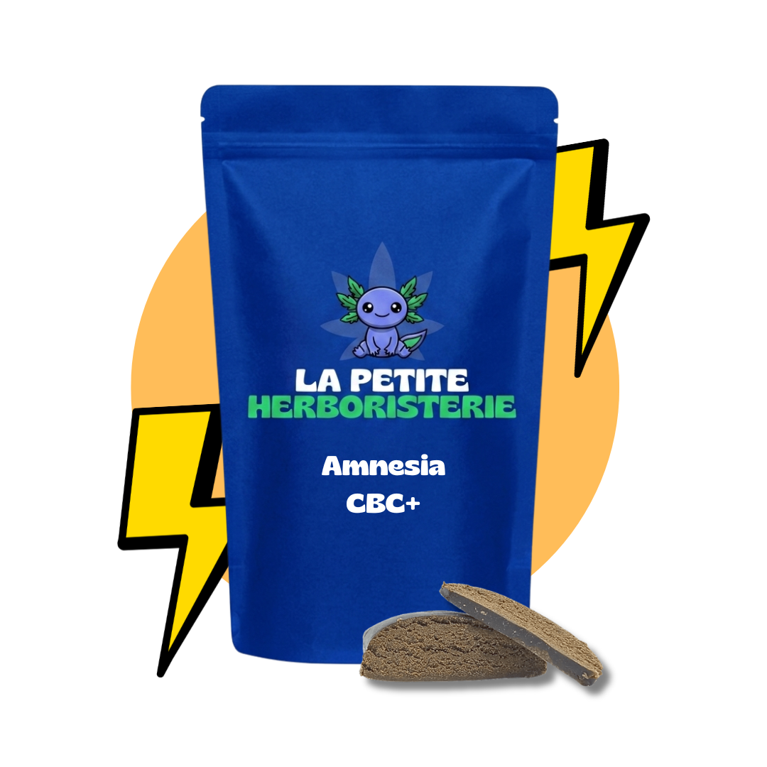 Amnesia CBC+ 27%