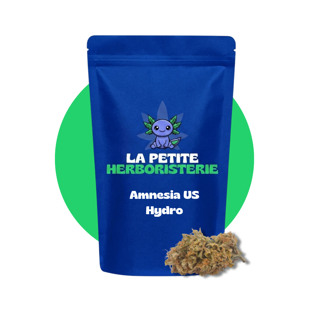 Amnesia US Hydro CBD 20%
