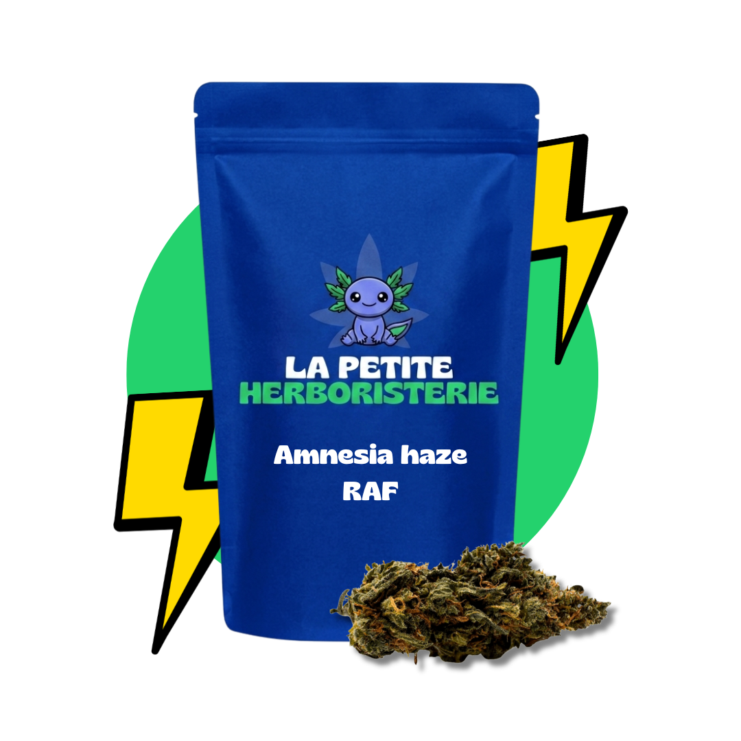Amnesia haze RAF 22%