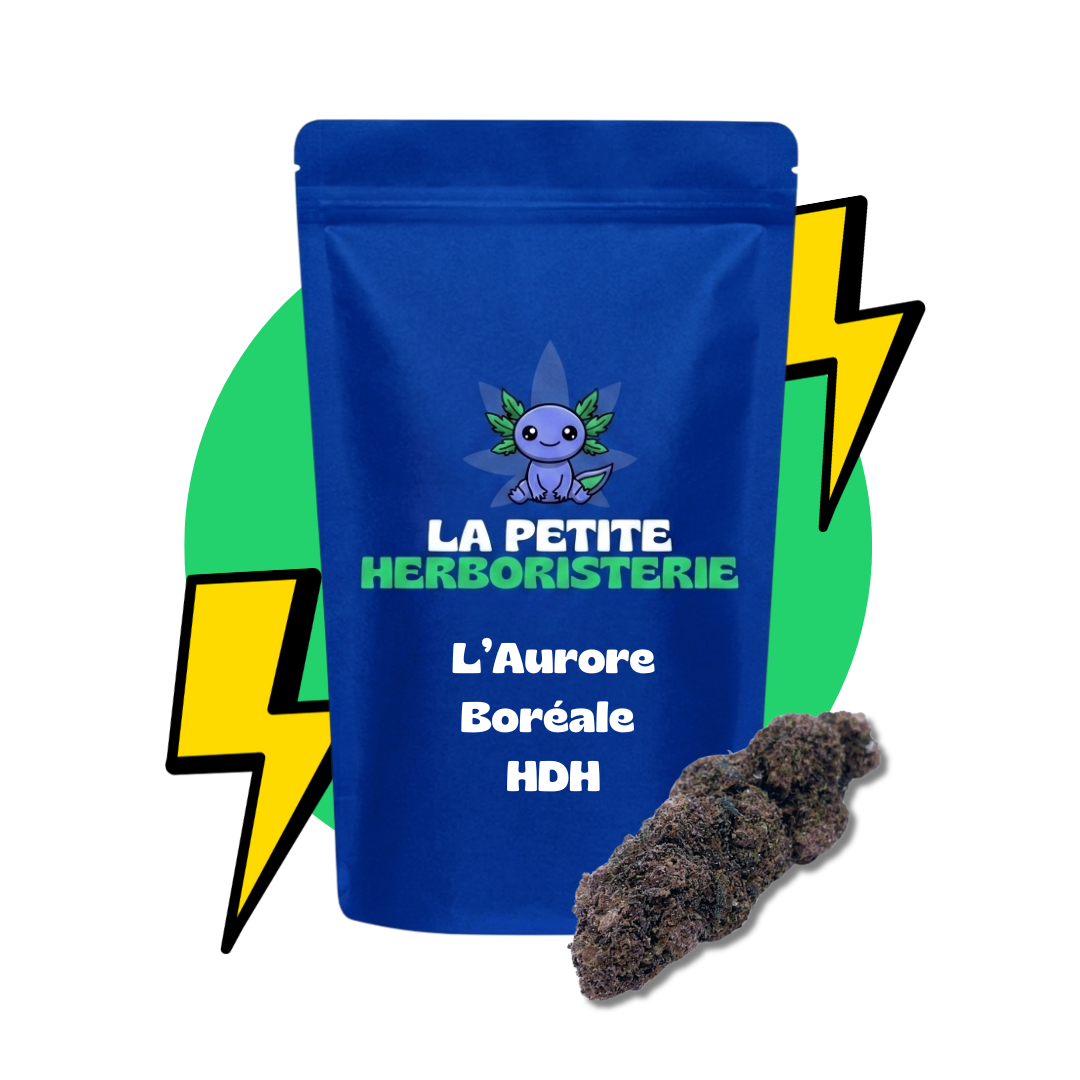 L'Aurore Boréale HDH - 22%