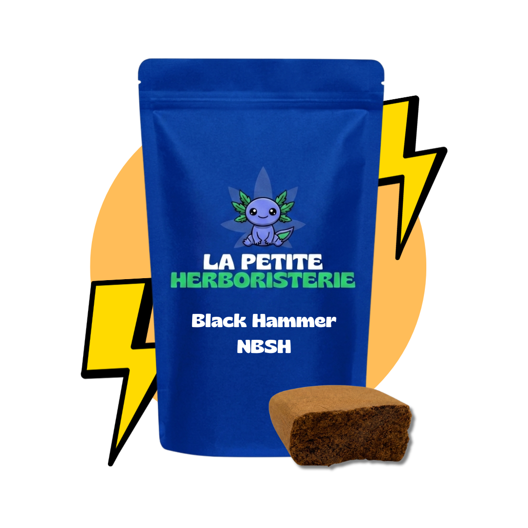 Résine Black Hammer NBSH