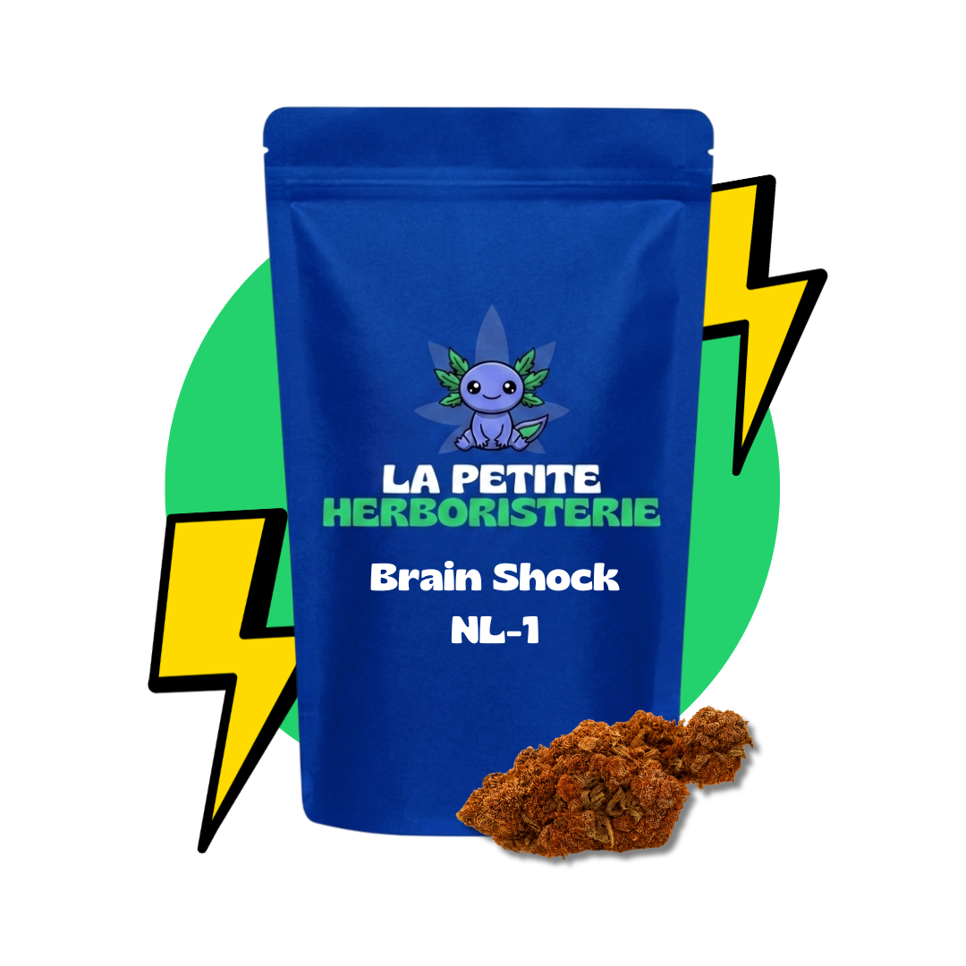 fleur brain shock NL-1