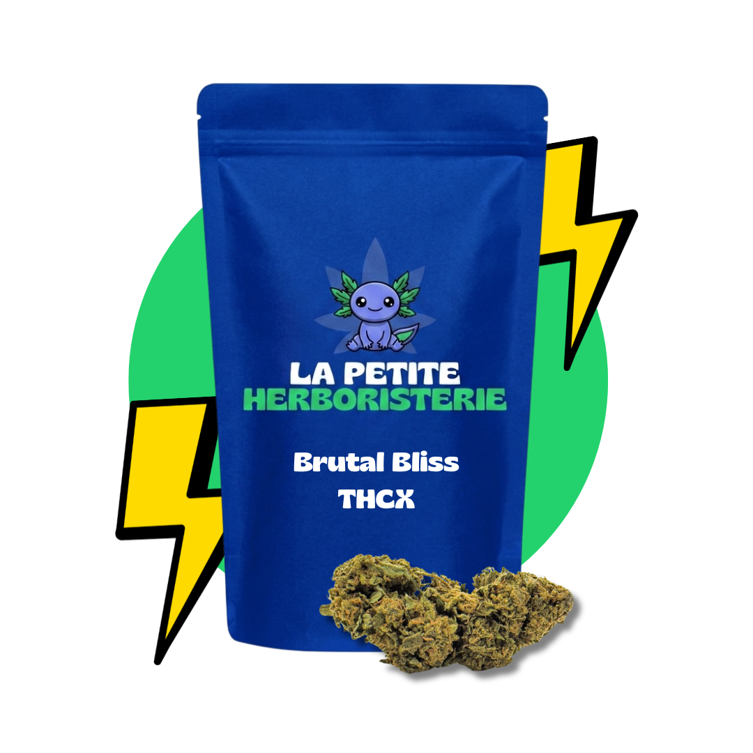 Brutal Bliss THCX 22%