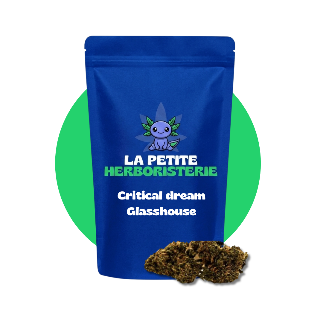cbd fleur critical dream