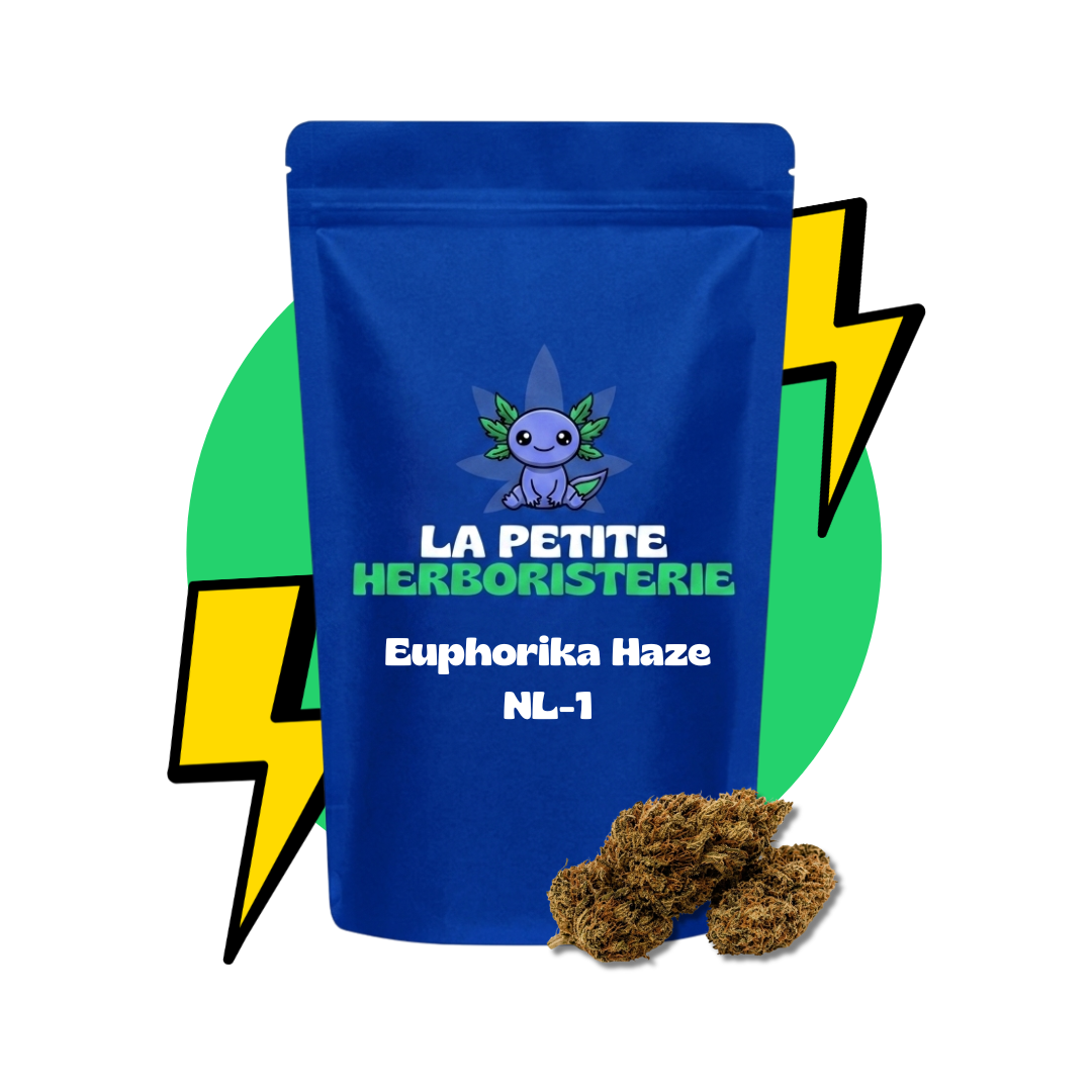 fleur euphorika Haze NL-1