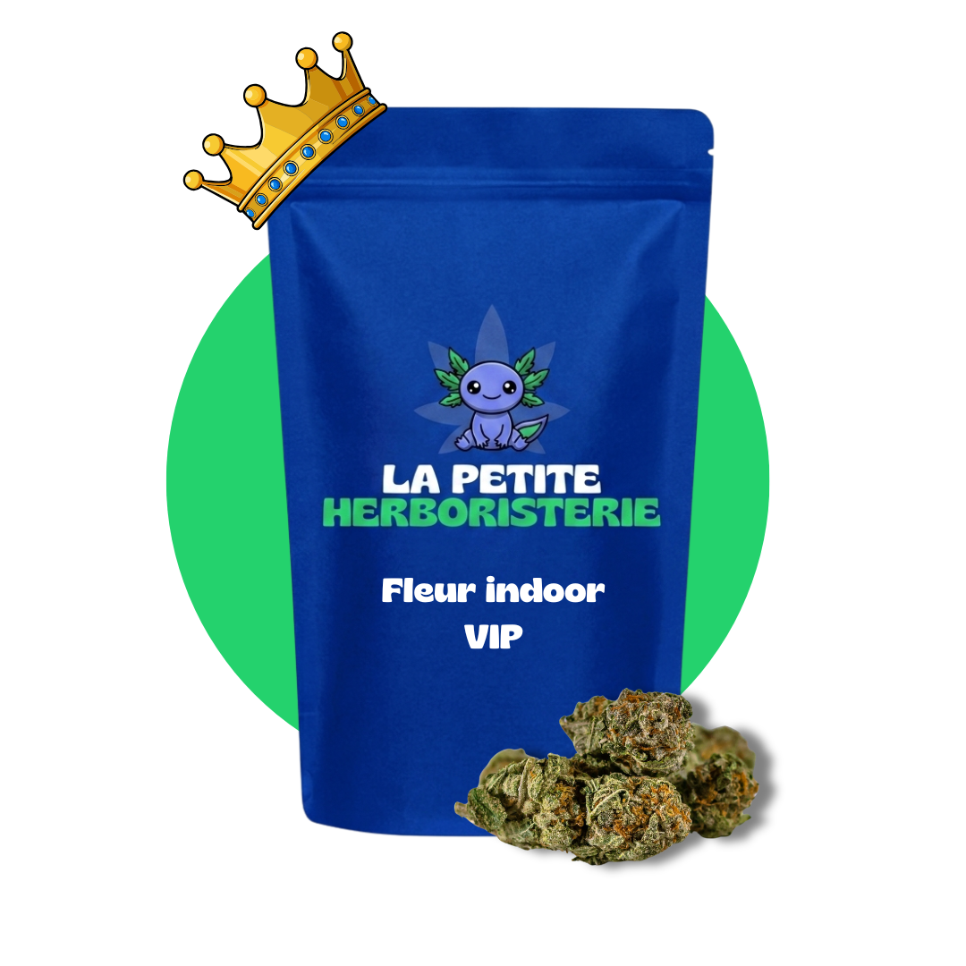 Fleur Indoor VIP🔒