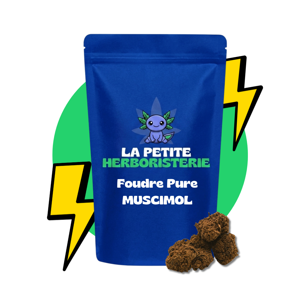 Fleur foudre pure muscimol