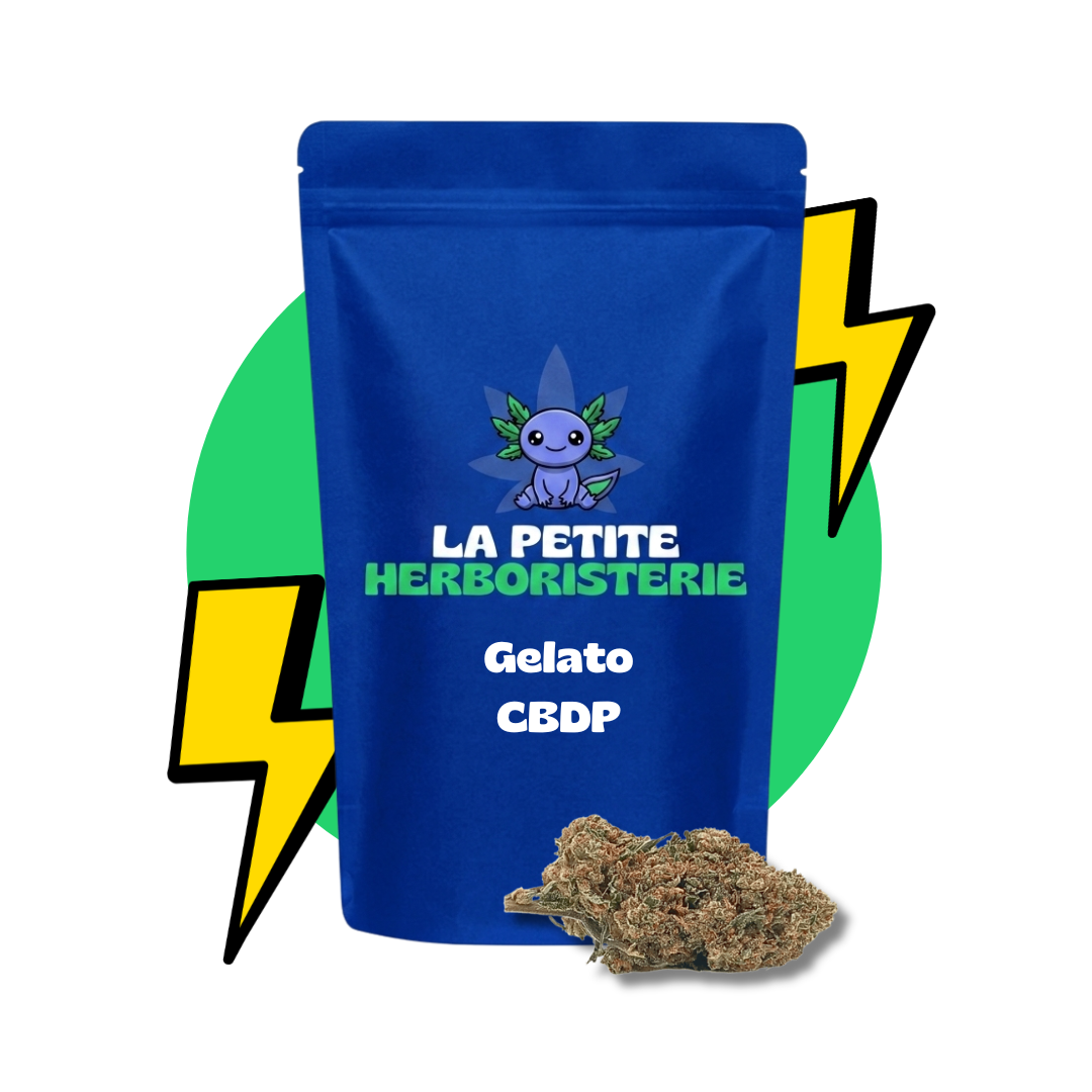 Gelato CBDP 22%