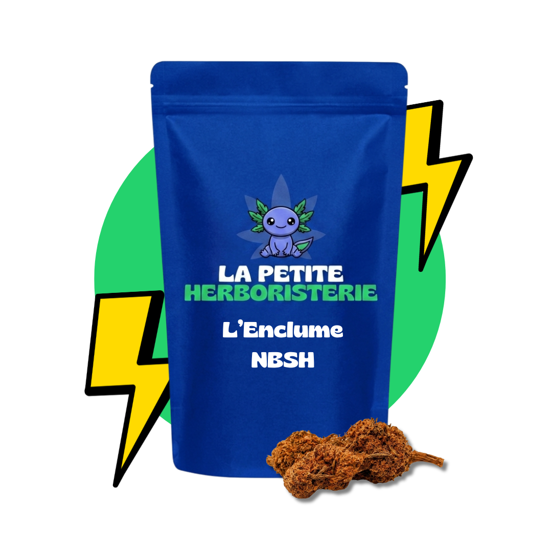 fleur l'enclume nbsh