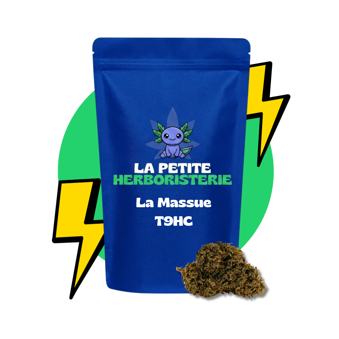 La Massue fleur t9hc