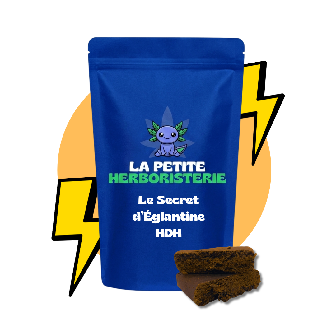 Le Secret d'Églantine HDH - 27%
