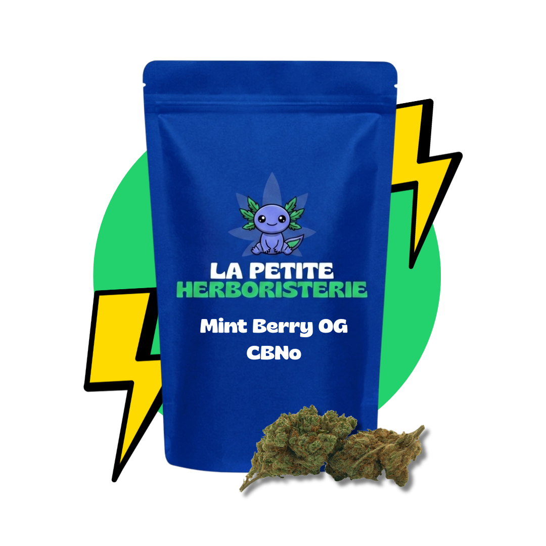 Mint Berry OG CBNo 22%