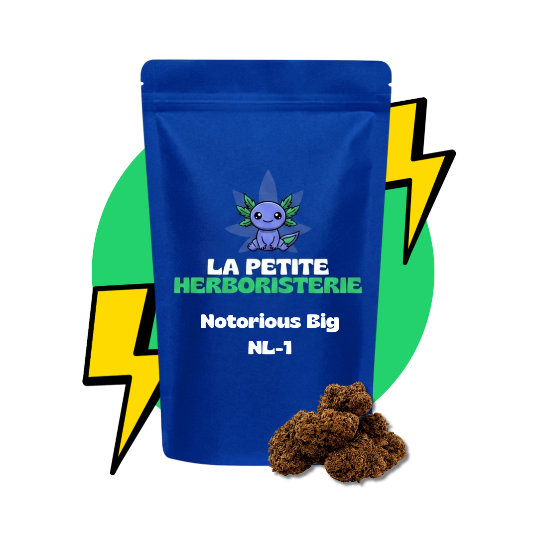 fleur notorious big nl-1