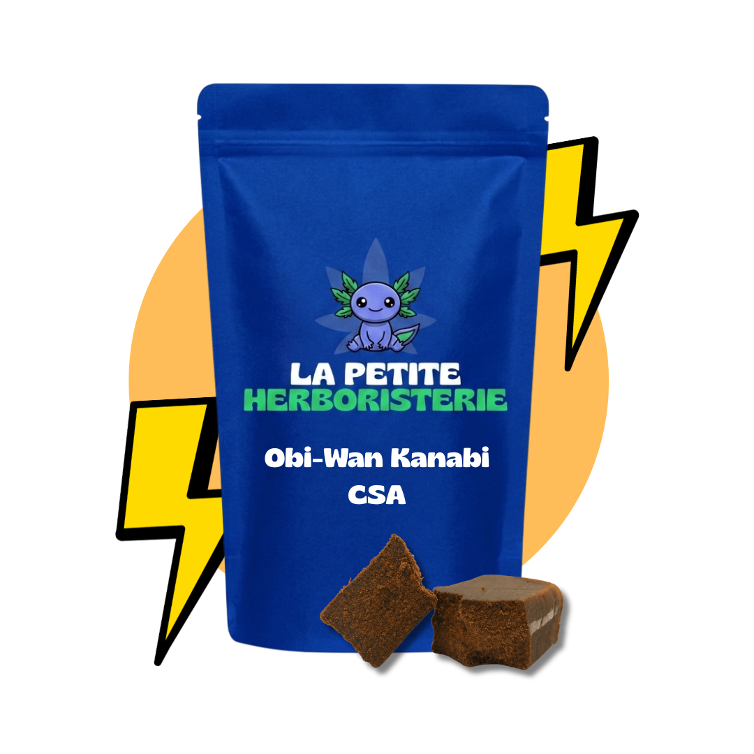 résine obi-wan kanabi CSA