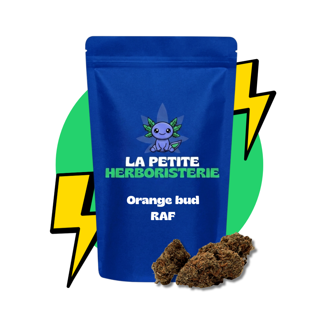 Orange bud RAF 22%