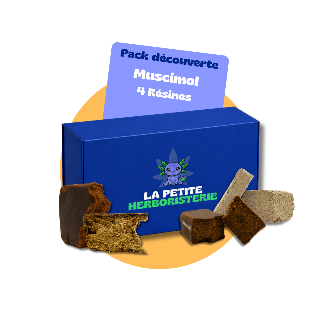 pack 4 résines cbd muscimol