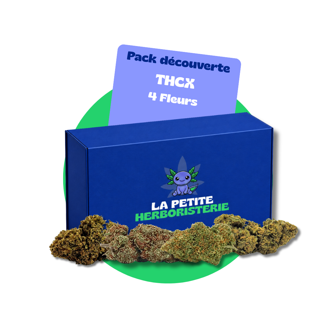 pack 4 fleurs thcx