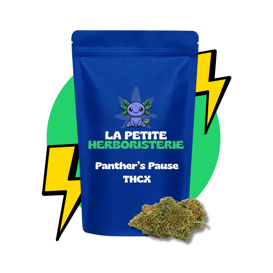 Panther's Pause THCX 27%