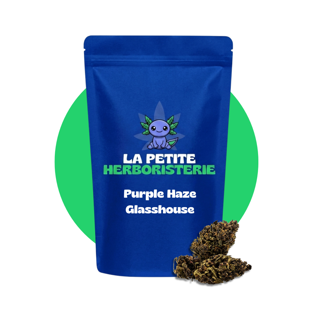 fleur purple haze cbd