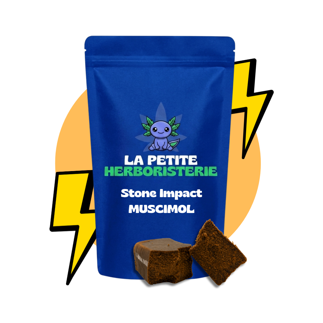 résine stone impact muscimol